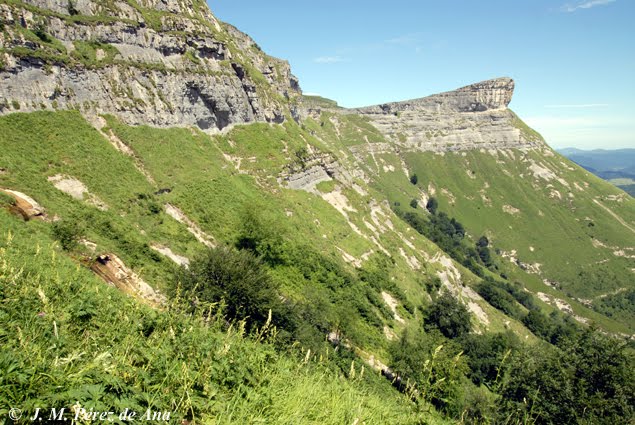EQUO rechaza de manera tajante la modificación de la Ley 16/1994 de 30 de Junio