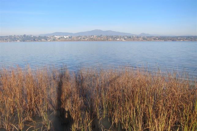 Día Mundial del Agua y el desarrollo sostenible
