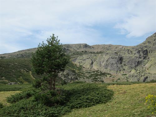 Reclaman un acuerdo de Estado que proteja los Parques Nacionales de batallas políticas