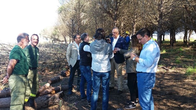 Trabajos de prevención de incendios forestales montes públicos de Cádiz