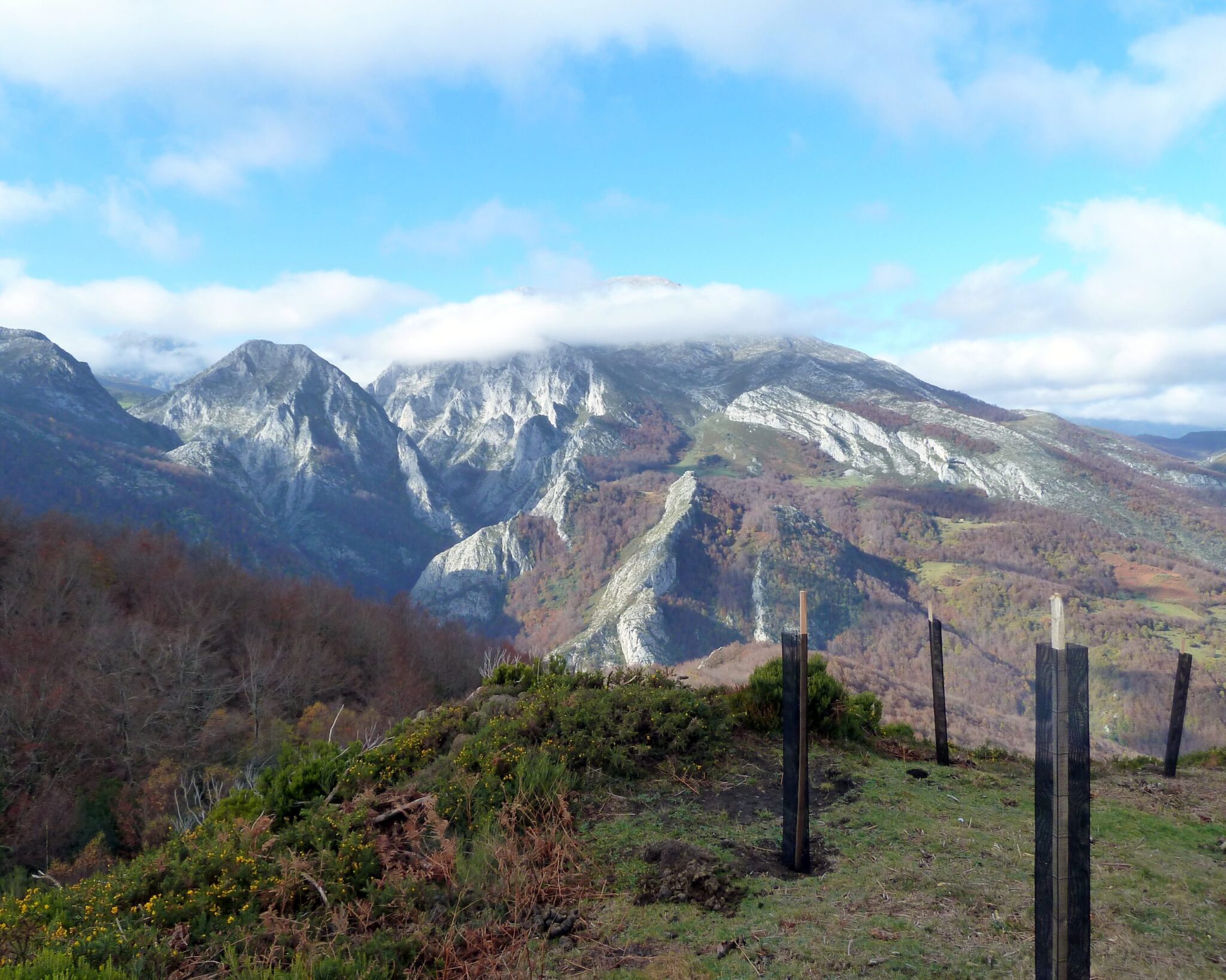 Medio Ambiente se suma a la Celebración del Día Internacional de Concienciación sobre el Ruido