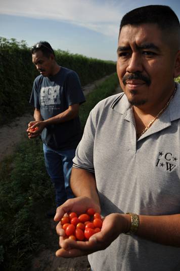 EE.UU. Premios por Cultivos Verdes a Lucas Benitez