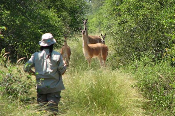 Boliviana es galardonada por trabajar en la conservación de la biodiversidad del Chaco