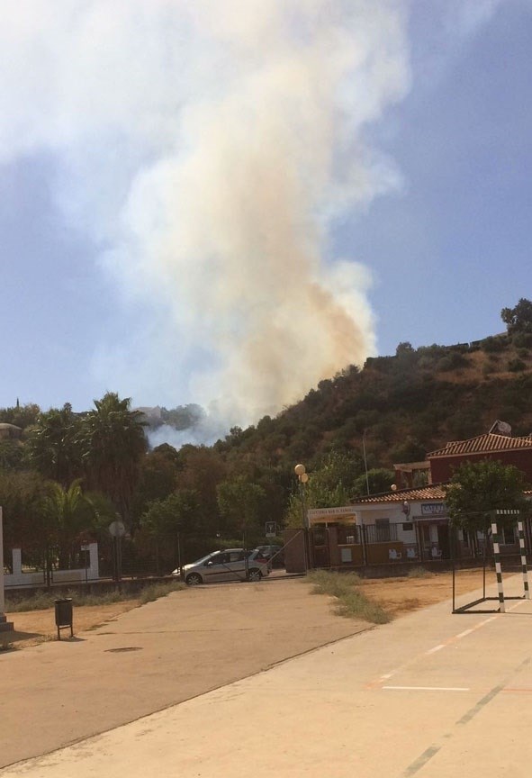 Sofocado un incendio en Gelves tras afectar a una zona de olivar y matorral
