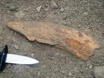 El CENIEH cierra una exitosa campaña de excavaciones en Treviño