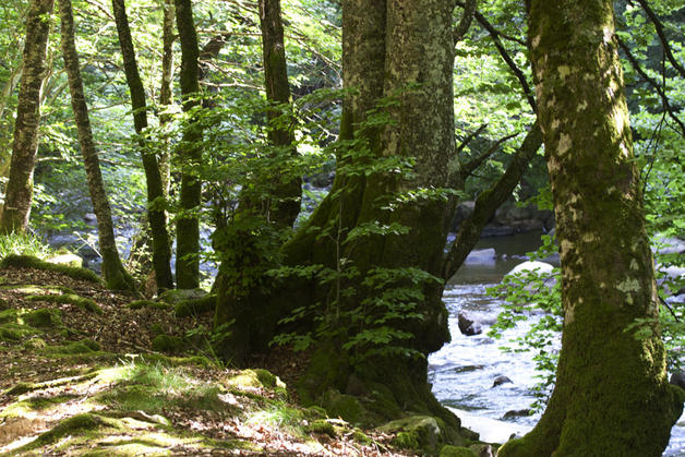 Navarra trabaja en diversas actuaciones relativas a enclaves naturales