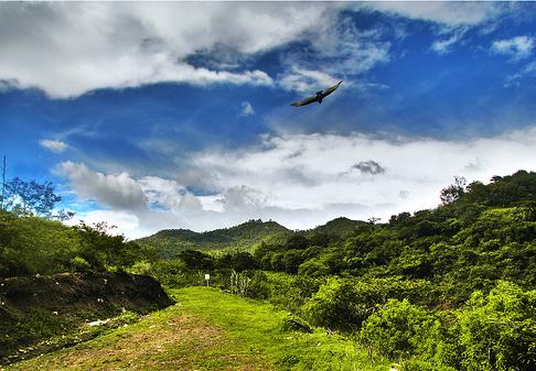 147 millones para ayudas a distintas entidades para proyectos de desarrollo sostenible