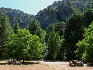 Planificación y Conservación de Espacios Naturales