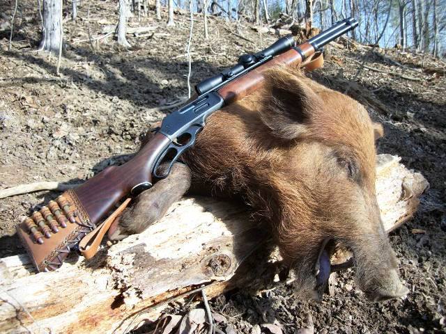 Las batidas de caza en León están ‘incontroladas’