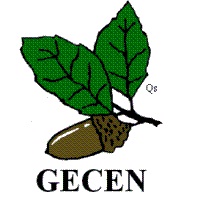 Gecen pide soluciones para evitar la muerte de rapaces nocturnas en la CV-10 de Castellón por atropellos