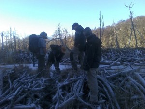 Desarrollo Sustentable realizó tareas de recuperación en cauces de ríos