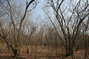 Gobierno lanza estrategia contra el cambio climático