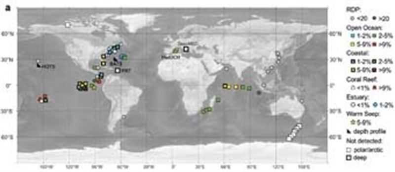 Comunidad de Valencia. Investigadores de la UV descubren la bacteria acuática más pequeña descrita hasta ahora