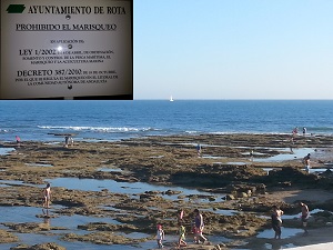 Playa de ‘Rota’ el caos absoluto