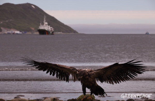 La industrialización del Ártico