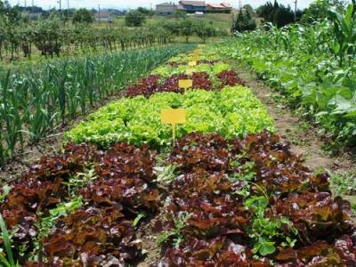 Protocolo entre la Agencia de Residuos de Cataluña y los sindicatos agrarios para optimizar la gestión de residuos del sector agrícola y ganadero