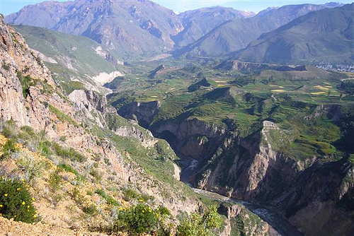 Ministerio del Ambiente celebra desde hoy Día Internacional de la Diversidad Biológica