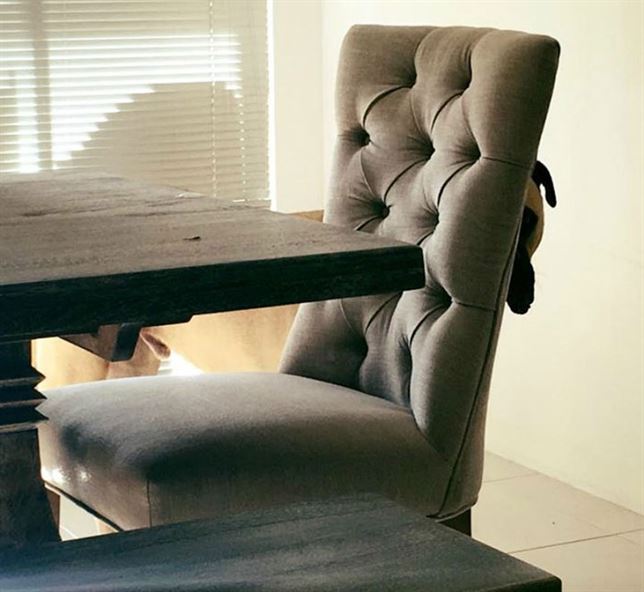 El perro que siempre te mira