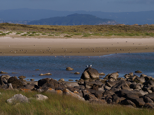 Estudiantes de la Universidad de Vigo se han propuesto restaurar el ecosistema del "lago dos nenos" de Cíes