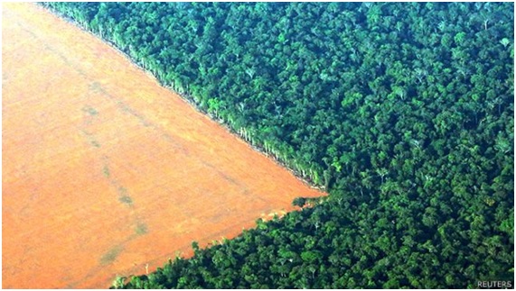 Problemas ambientales y sociales de América Latina