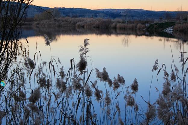 Hay que priorizar la recuperación de los humedales del Sureste de Madrid