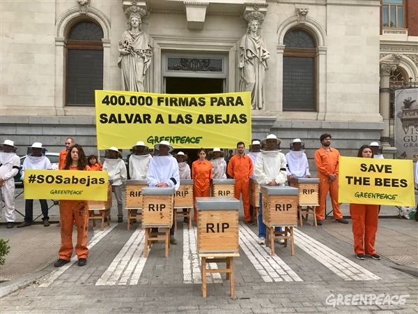 Qué más tenemos que hacer para que los Gobiernos salven a las abejas