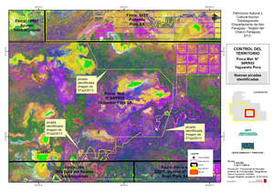 Las importaciones de carne vacuna europeas amenazan a los indígenas aislados en Paraguay