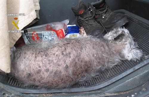 Un inmigrante chino mata a un perro a ‘bastonazos’ (La Rioja)