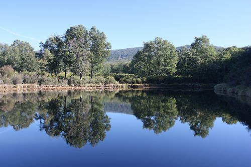 El MARM imparte un curso sobre técnicas de atención e información al visitante con algún tipo de discapacidad