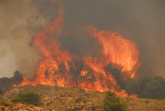 ANSE exige las obras de la carretera Portmán-Atamaría antes de repoblar la zona afectada por el incendio del entorno de Peña del Águila