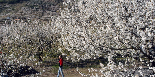 Polémica ley de Protección Ambiental de Extremadura