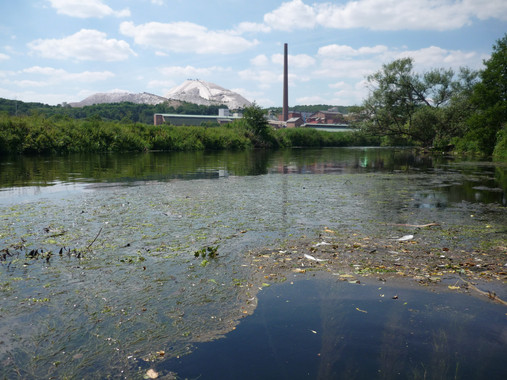 La salinidad del agua dulce es producto de la acción de los humanos