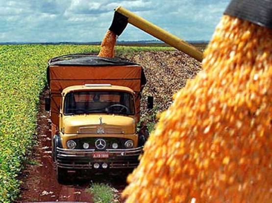 Argentina y Montsanto