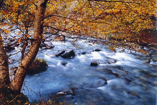 Agua limpia para un mundo sano