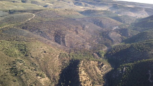Sigue estabilizado el incendio de Ejulve que calcina casi 100 hectáreas