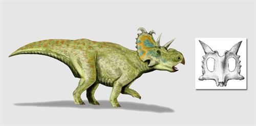 Canadá. Nueva especie de dinosaurio con cuernos y herbívoro