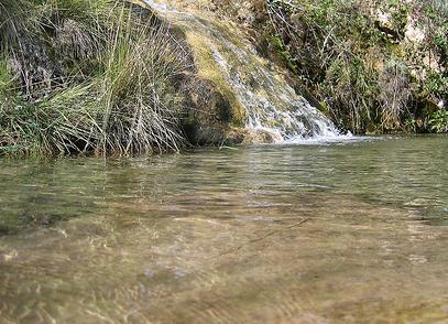 Abierto el plazo de ayudas para formación y sensibilización ambiental en materia de aguas