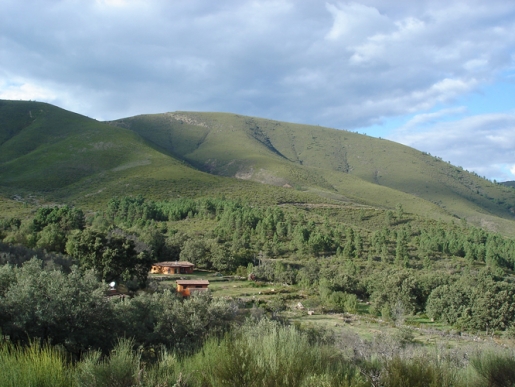 CURSOS Arte tradicional y naturaleza en Sálama