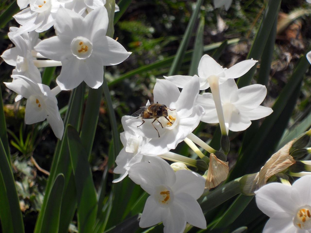 El Estrecho de Gibraltar