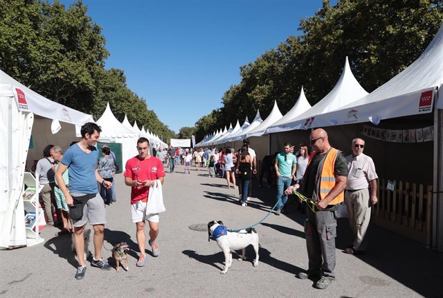 La Comunidad de Madrid fomenta la adopción de animales en una región con 400.000 madrileños que tienen mascota