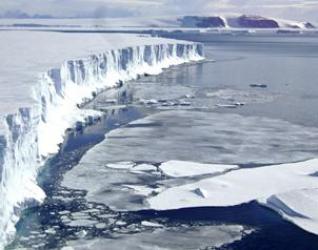 Vea el video de la ‘agonía’ del hielo marino en el Ártico