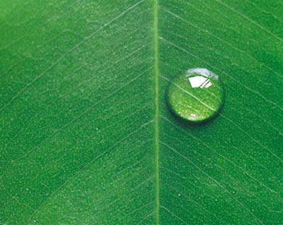 Te gustaría doctorarte en sostenibilidad