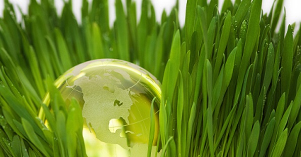 Máster online en Gestión Sostenible del Ambiente