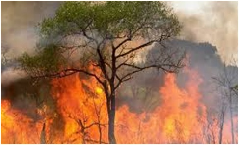 Conviértete en el mejor perito de seguros de incendios y riesgos diversos con INTESA