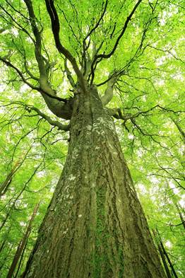 Doctorado en Sostenibilidad