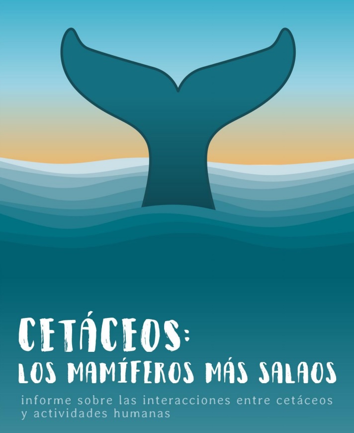 Los impactos que sufren los cetáceos en aguas españolas