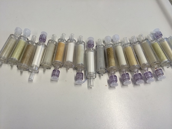 El Día del Muestreo de los Océanos permitirá conocer la diversidad microbiana de la superficie del mar