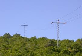 Málaga prepara un plan de alerta en tendidos eléctricos en espacios forestales