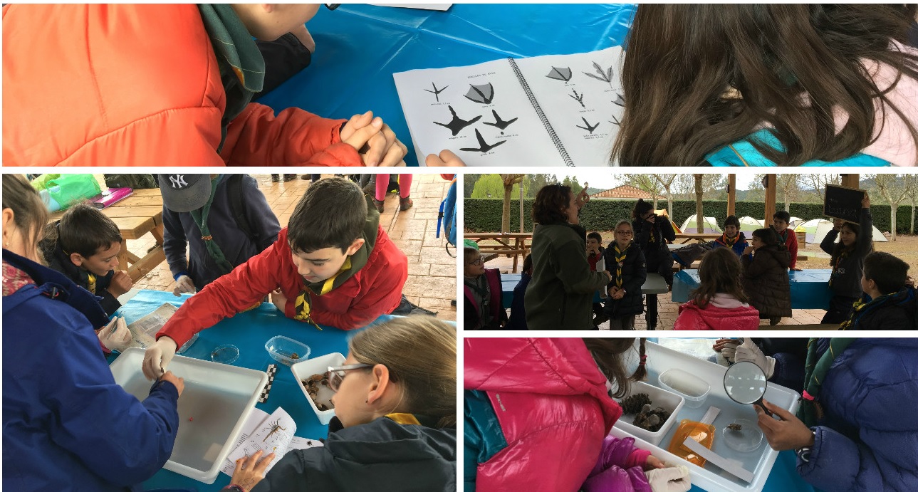 Medio Ambiente se suma a la celebración del ‘Día Mundial del Agua’ con diversas propuestas