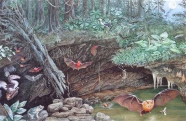 Esperma gigante de hace 17 millones de años